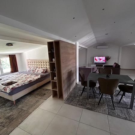 Anton Lux Apartment Koçani Dış mekan fotoğraf